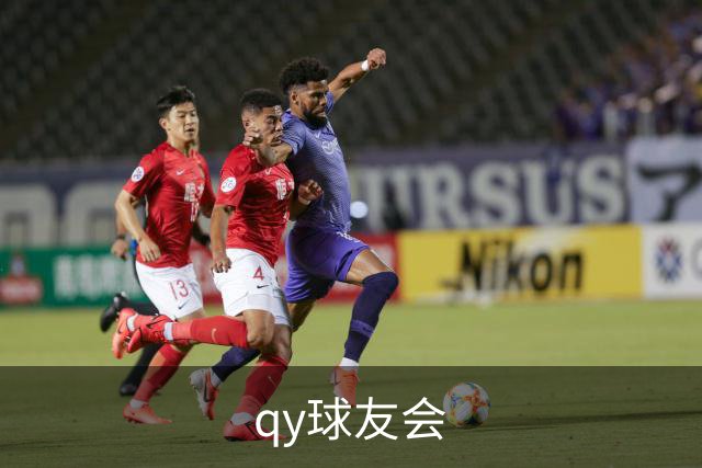 qy球友会公司简介